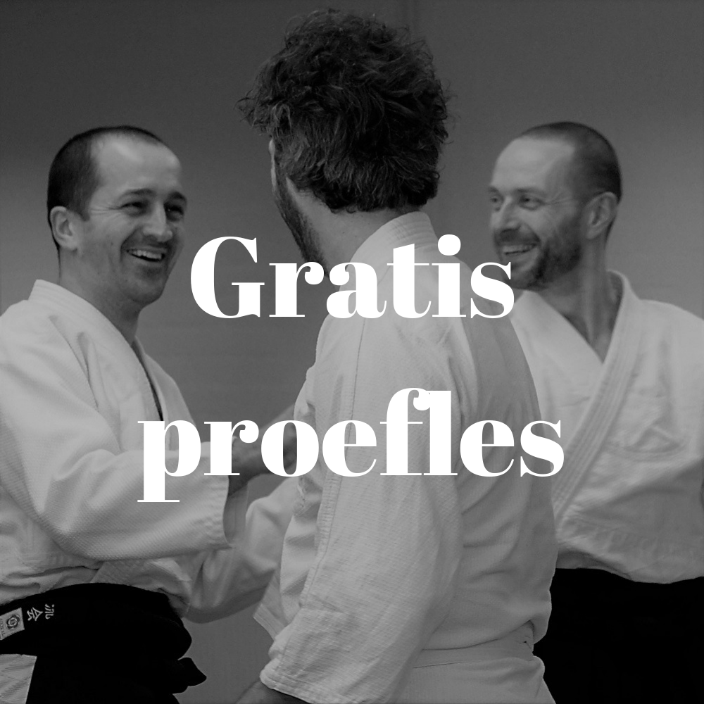 Gratis proefles Aikido